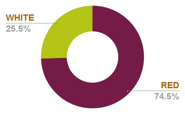 Chart 14